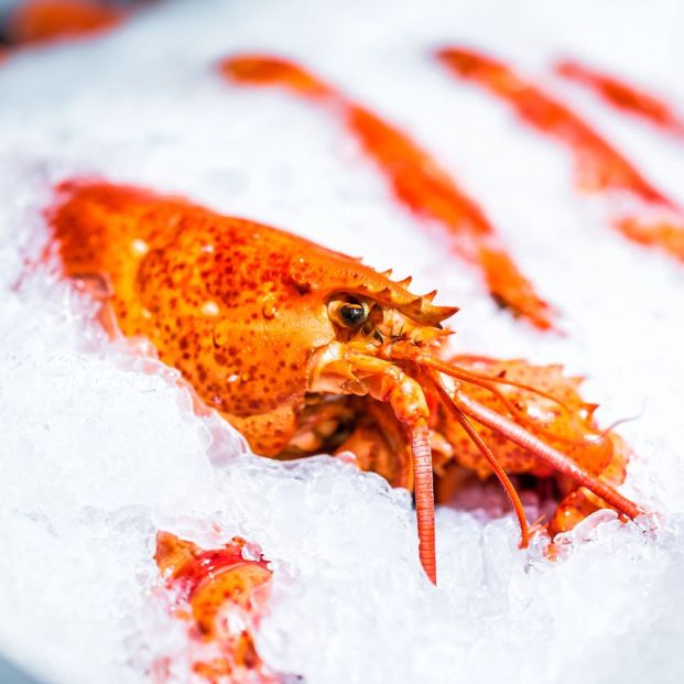 marisco conservarlo marisco conservarlo