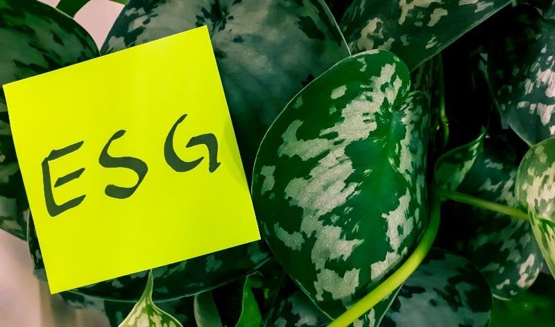 Mapfre ESG Mapfre ESG