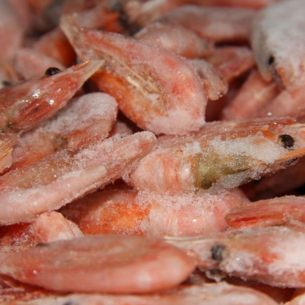 ¿Cómo cocinar alimentos congelados? Foto: bigstock ¿Cómo cocinar alimentos congelados? Foto: bigstock