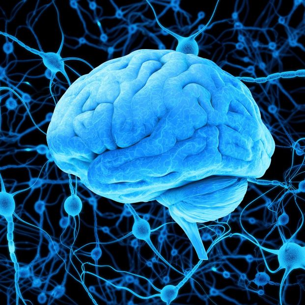 Descubren un posible beneficio de la estimulación eléctrica del cerebro en enfermos de Parkinson Descubren un posible beneficio de la estimulación eléctrica del cerebro en enfermos de Parkinson