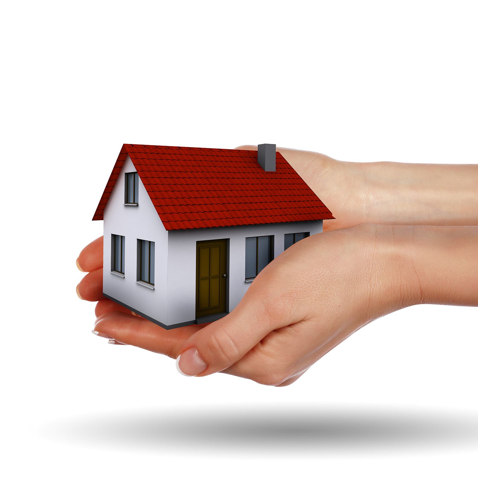 Incendio forestal fortuito: sin seguro, no hay indemnización