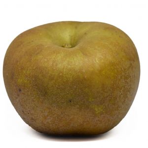 ¿Sabías que existen más de 7.500 tipos de manzanas y algunas llevan el nombre de su ‘descubridor’? ¿Sabías que existen más de 7.500 tipos de manzanas y algunas llevan el nombre de su ‘descubridor’?