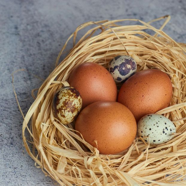 No es necesario lavar los huevos (bigstock) No es necesario lavar los huevos (bigstock)