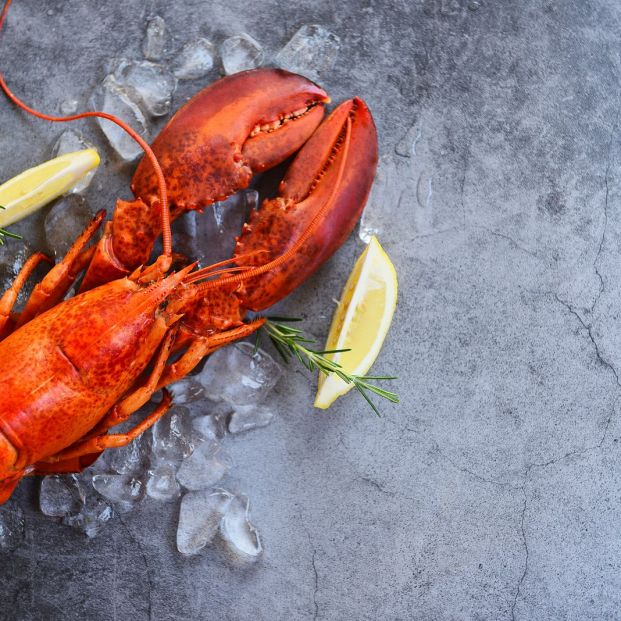 ¿Cómo se debe comer el marisco? Foto: bigstock ¿Cómo se debe comer el marisco? Foto: bigstock