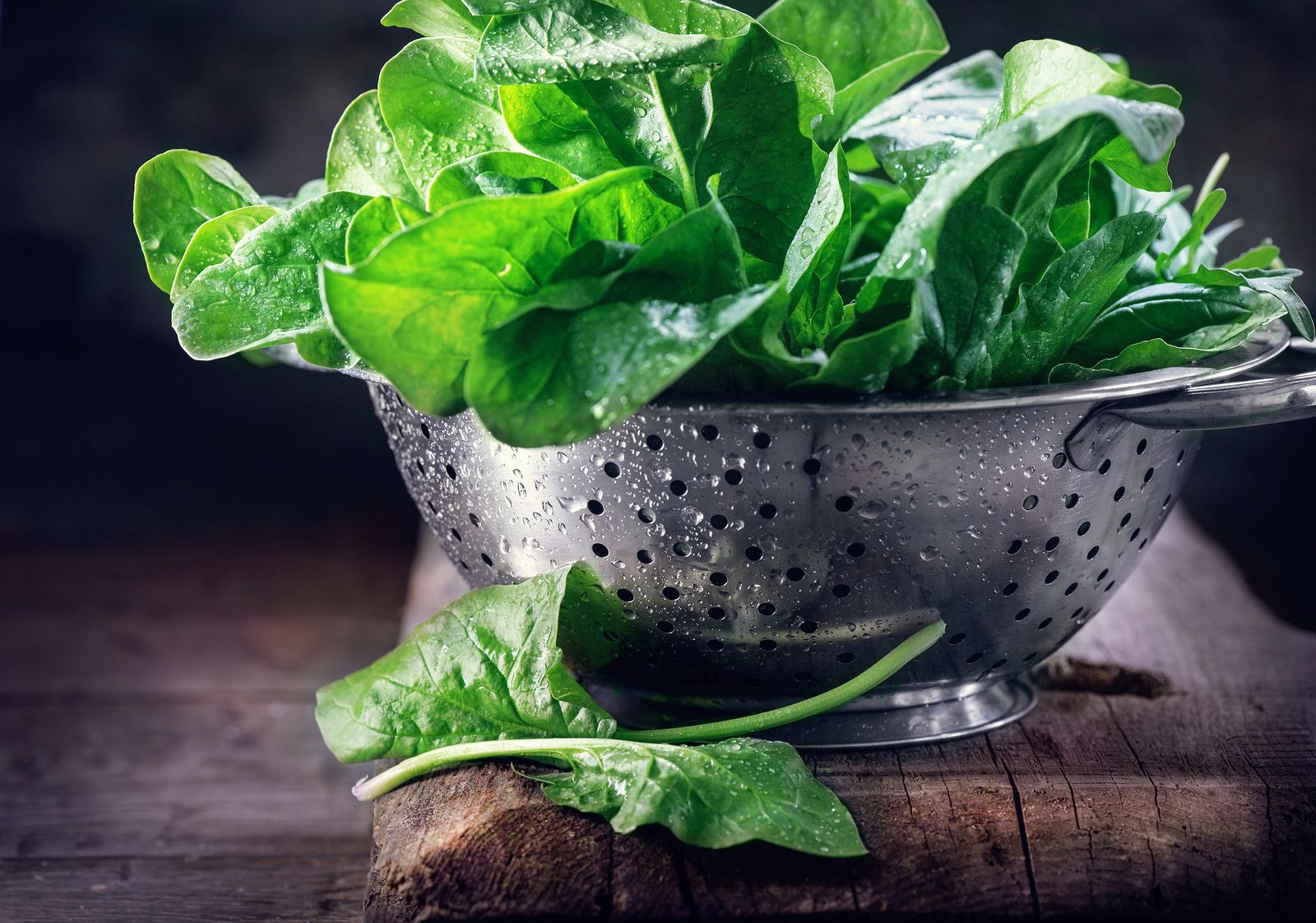 Qué es el Escherichia coli y cómo se previene (Bigstock)