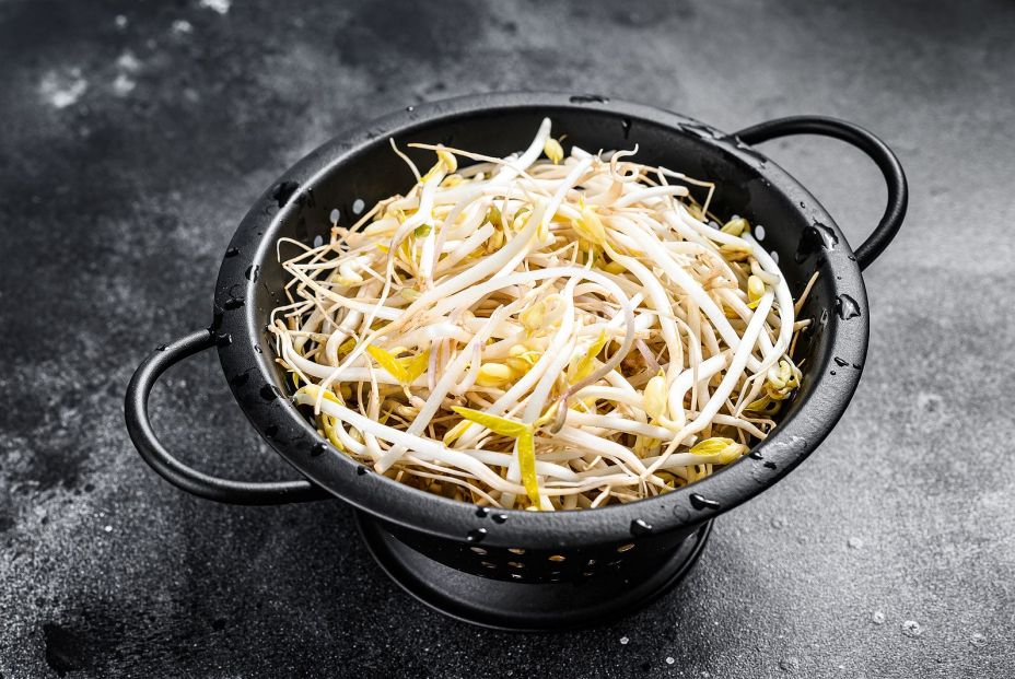 bigstock Sprouts Of Sprouted Beans In A 391249634