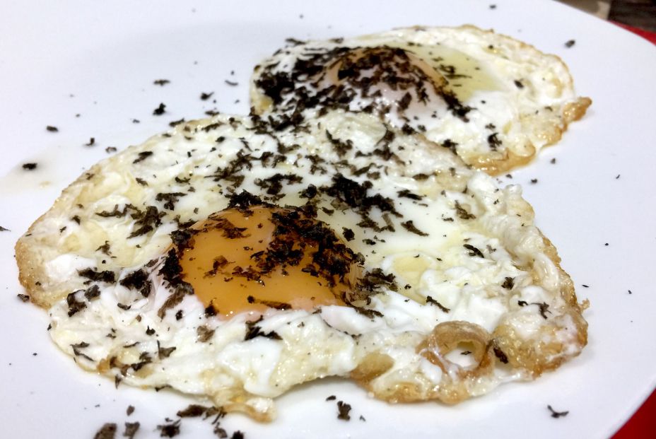 La trufa: un manjar para los más sibaritas La trufa: un manjar para los más sibaritas