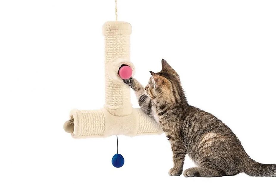 rascador LIDL rascador LIDL