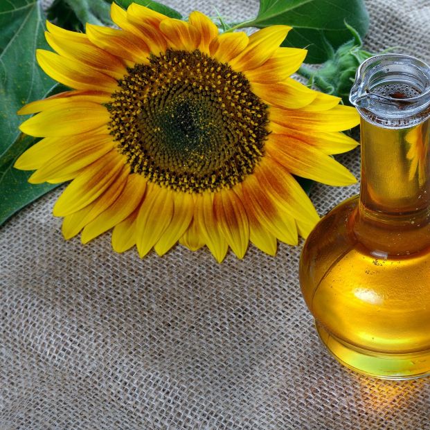 Alimentos para combatir la caída del cabello Alimentos para combatir la caída del cabello