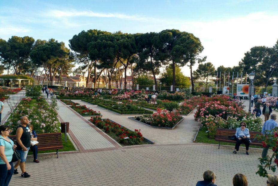 rosaleda 2 rosaleda 2