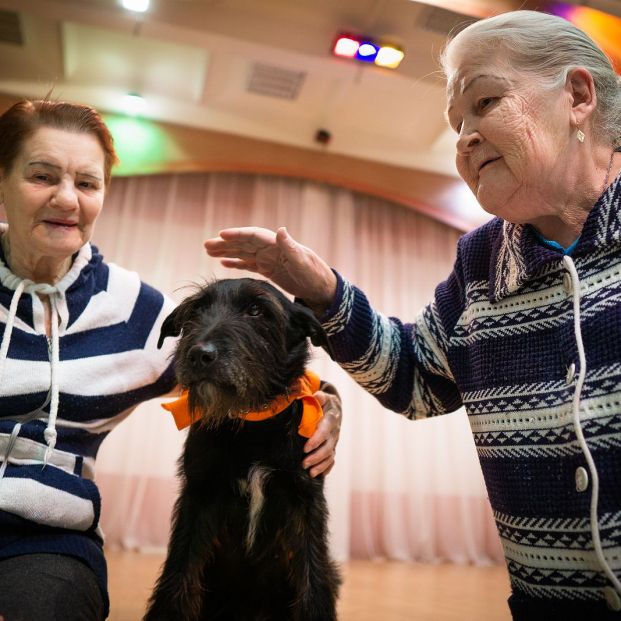 La música y los perros pueden mejorar la calidad de vida de los pacientes con Alzheimer Foto: bigstock La música y los perros pueden mejorar la calidad de vida de los pacientes con Alzheimer Foto: bigstock