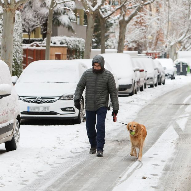 Nevadas en la provincia de Teruel. Foto: Europa Press Nevadas en la provincia de Teruel. Foto: Europa Press