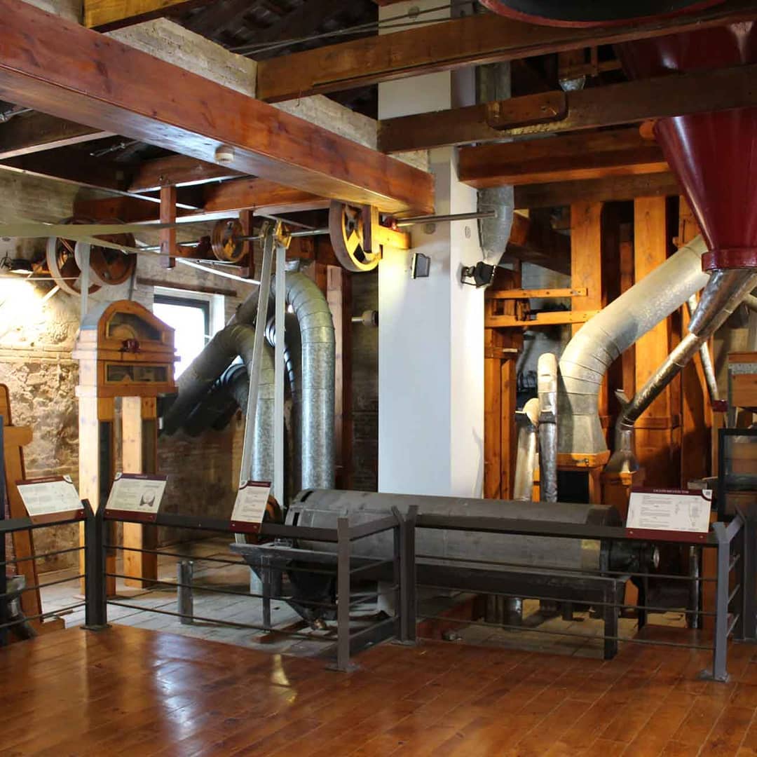 El Museo del Arroz de Valencia sale a la calle para esquivar el coronavirus