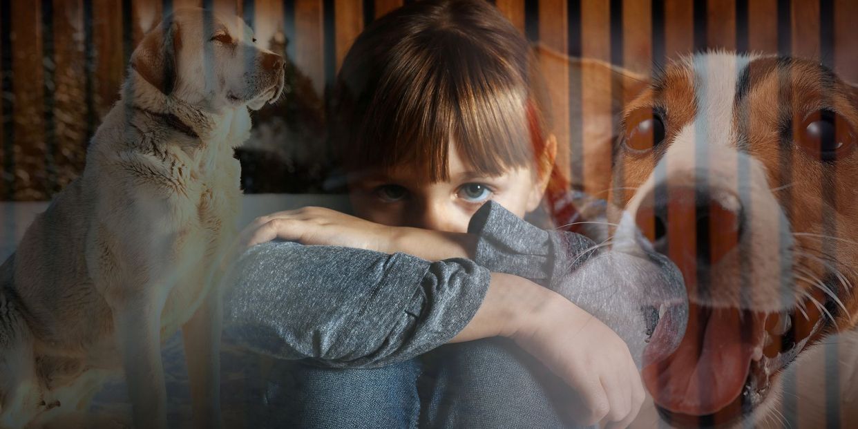 Fobia a los perros, un miedo que suele venir de la infancia (Foto Bigstock) 2 Fobia a los perros, un miedo que suele venir de la infancia (Foto Bigstock) 2