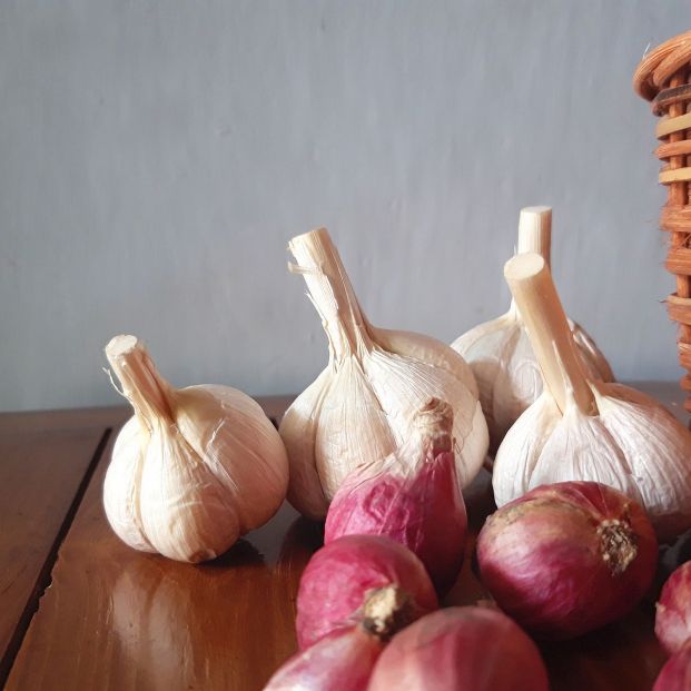 Alimentos tóxicos que nunca debemos dar a nuestro perro