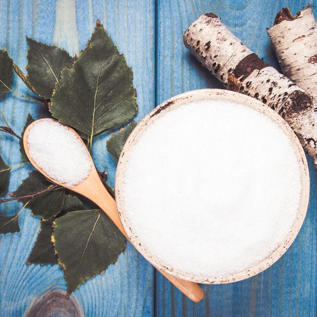 Alimentos tóxicos que nunca debemos dar a nuestro perro