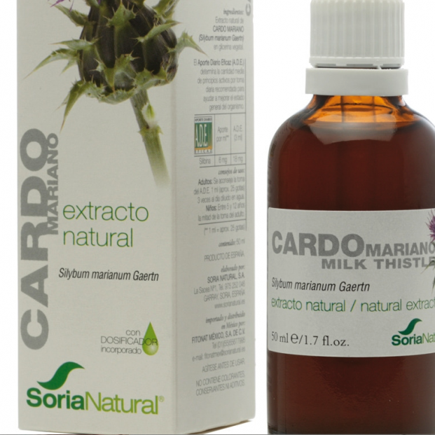 El Corte Inglés Cardo Mariano Soria Natural El Corte Inglés Cardo Mariano Soria Natural