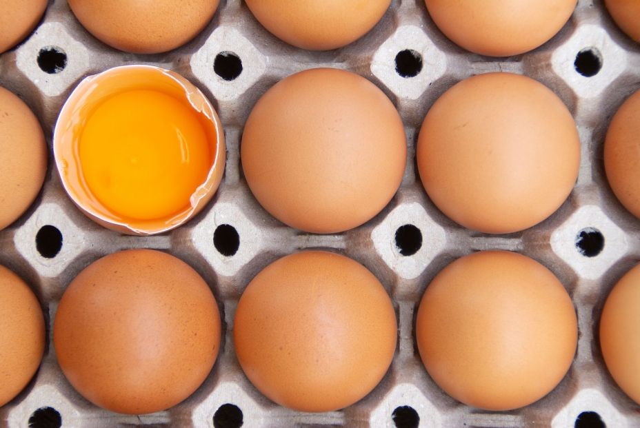 bigstock Brown Chicken Eggs Are In A Pa 346909114 bigstock Brown Chicken Eggs Are In A Pa 346909114