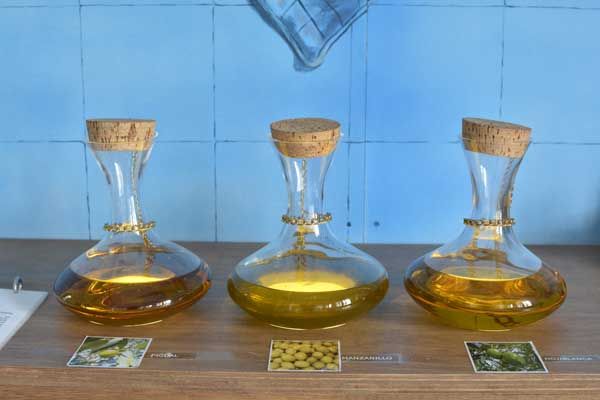 museo aromas museo aromas