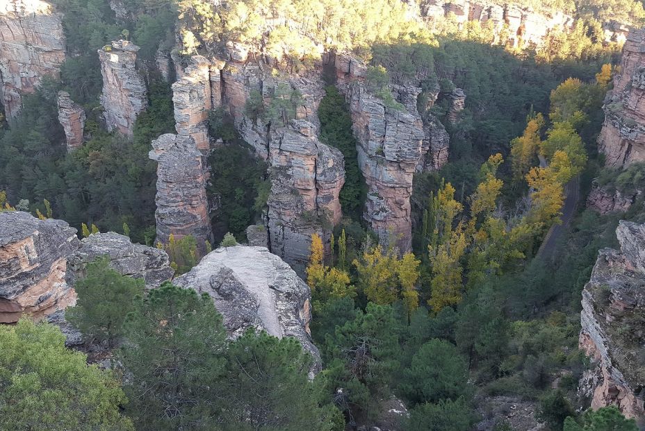 bigstock In The Natural Park Of The Hig 208524022 bigstock In The Natural Park Of The Hig 208524022