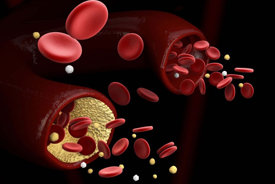bigstockD Illustration Of Calcitonin203354098