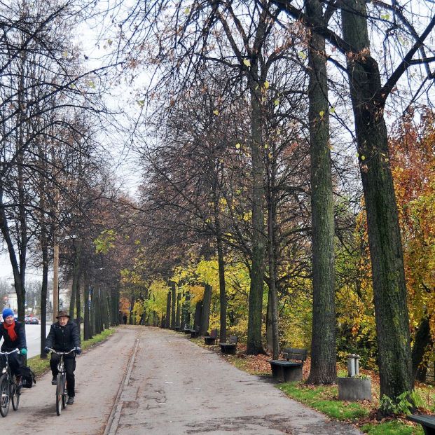 bigstock Cómo son las ciudades amigables bigstock Cómo son las ciudades amigables