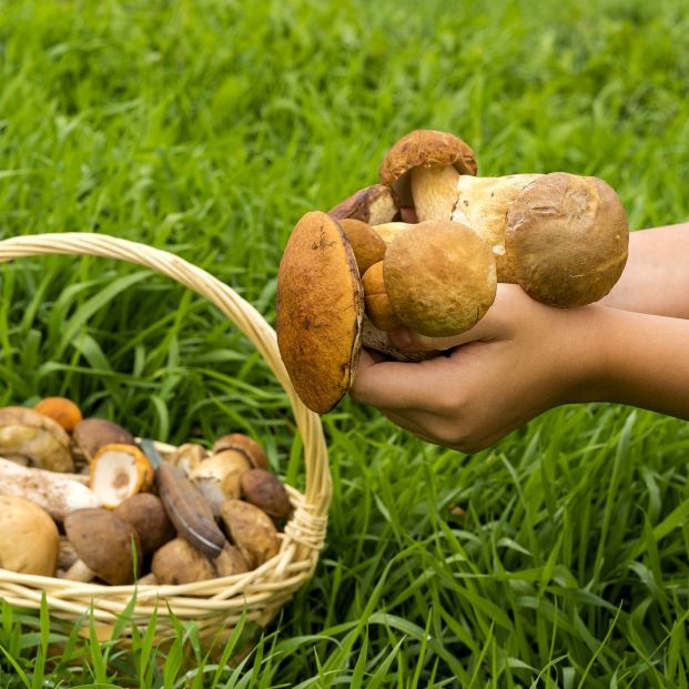 Trucos para limpiar correctamente los champiñones Foto: bigstock Trucos para limpiar correctamente los champiñones Foto: bigstock