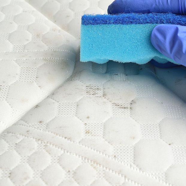 bigstock Removing Mould Stains From The 353292557 bigstock Removing Mould Stains From The 353292557