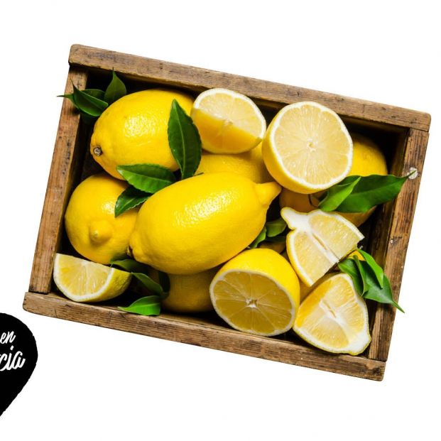 limon (Foto-Lidl) limon (Foto-Lidl)