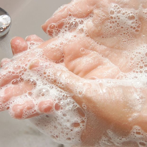 Todo lo que debes saber sobre la fiebre tifoidea Foto: bigstock