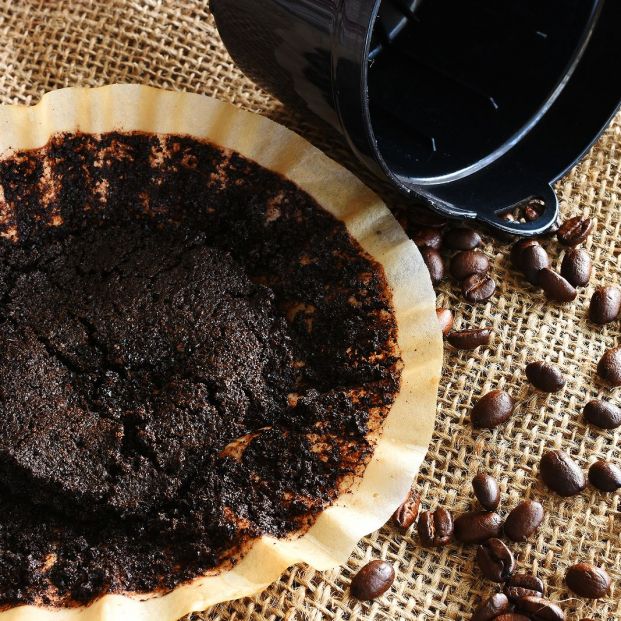 No tires el café molido usado, reutilízalo No tires el café molido usado, reutilízalo