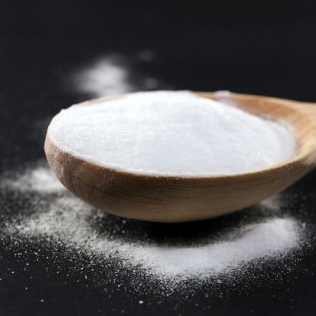 Cómo eliminar el olor a perro de nuestro coche Cómo eliminar el olor a perro de nuestro coche