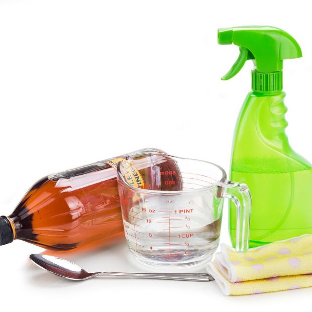 Cómo eliminar el olor a perro de nuestro coche Cómo eliminar el olor a perro de nuestro coche