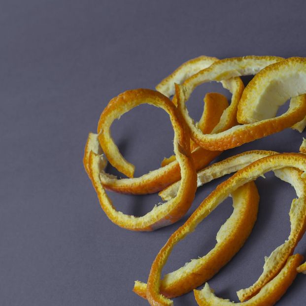 Cómo eliminar el olor a perro de nuestro coche Cómo eliminar el olor a perro de nuestro coche