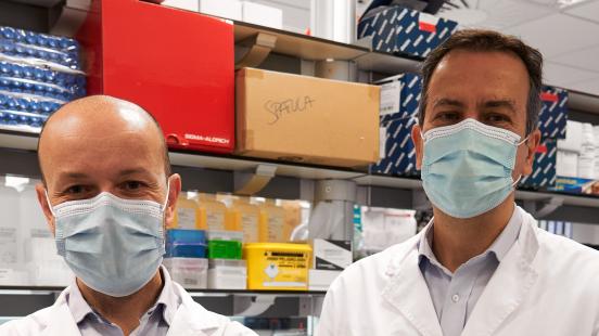 mjm3129 2 1 0 mjm3129 2 1 0