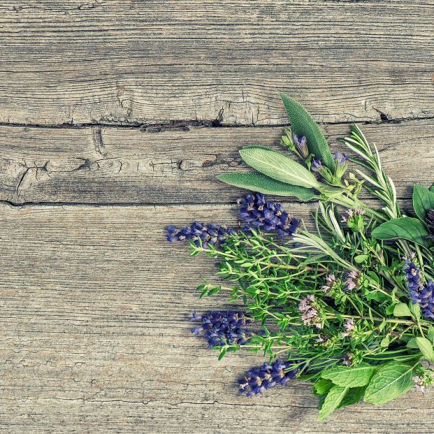 8 trucos para acabar con el mal olor de zapatos y bambas 8 trucos para acabar con el mal olor de zapatos y bambas