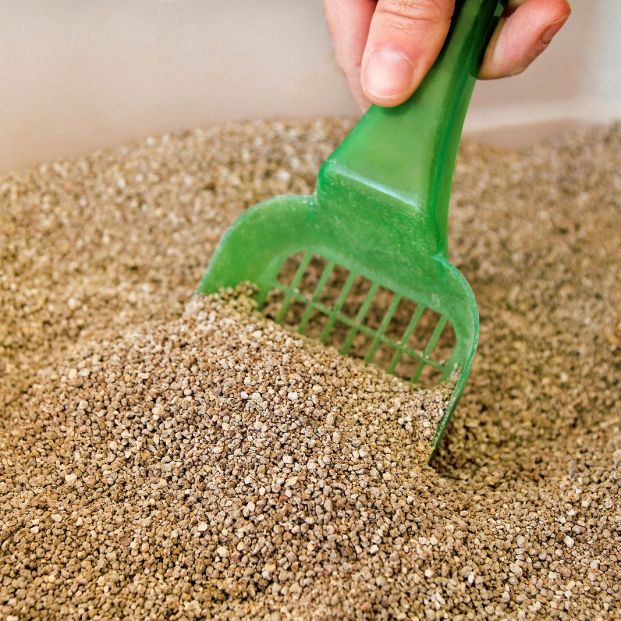 8 trucos para acabar con el mal olor de zapatos y bambas 8 trucos para acabar con el mal olor de zapatos y bambas