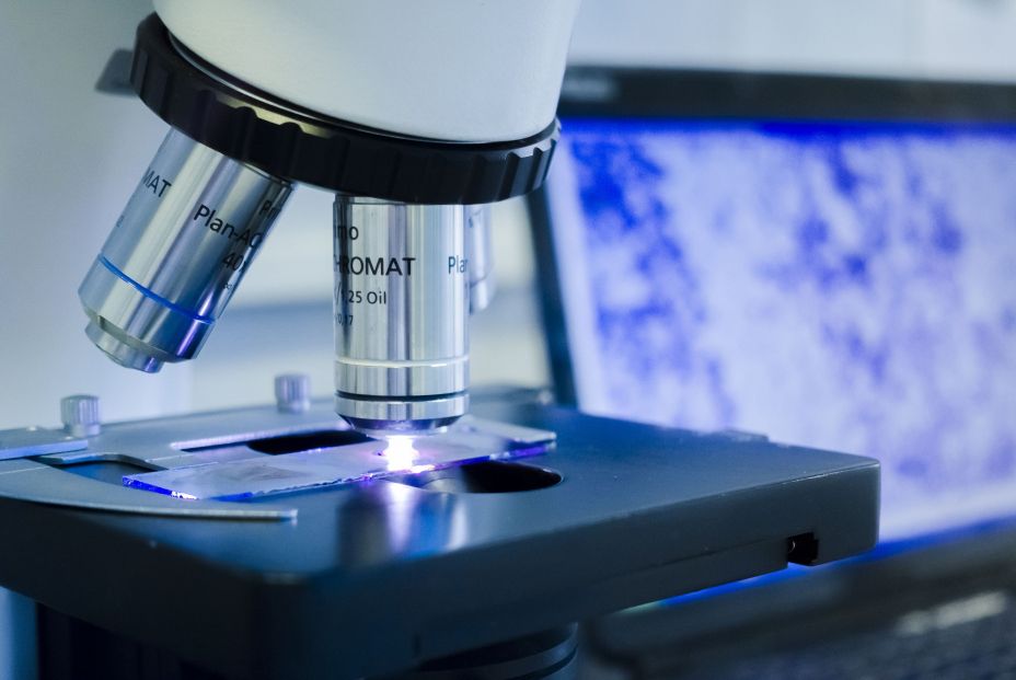 Científicos españoles demuestran que un fármaco del melanoma es efectivo contra un tipo de cáncer de próstata Científicos españoles demuestran que un fármaco del melanoma es efectivo contra un tipo de cáncer de próstata