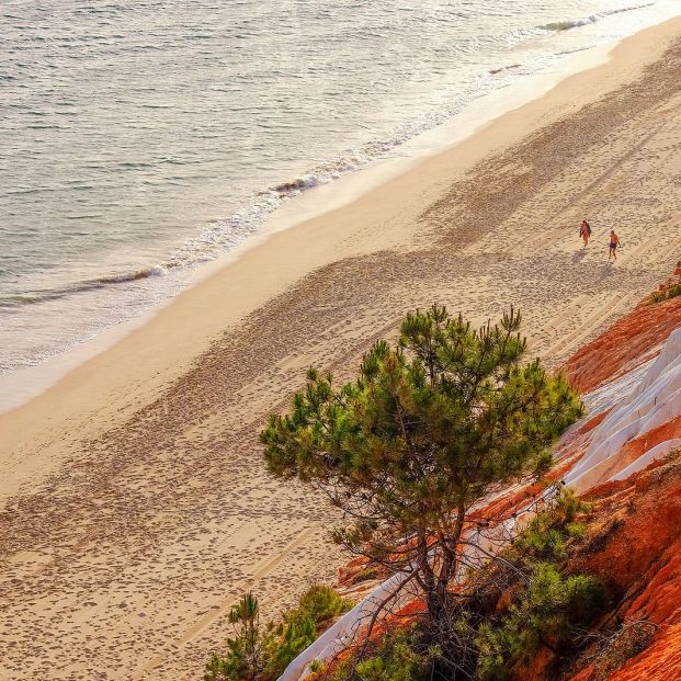 Dos playas españolas entre las mejores de Europa Foto: bigstock