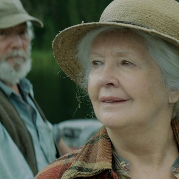 Y llovieron pájaros / Avalon