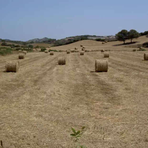 Las 10 medidas del Gobierno para la España Vaciada. Foto: Europa Press Las 10 medidas del Gobierno para la España Vaciada. Foto: Europa Press