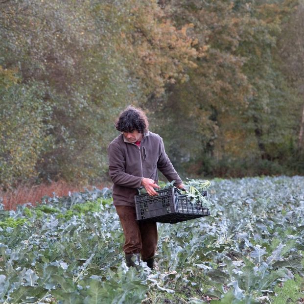 La España vaciada: "El gobierno debe pasar de las palabras a los hechos". Foto: Europa Press