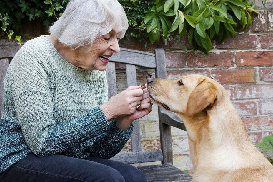 Un estudio revela que es habitual que los dueños contagien de Covid-19 a sus mascotas (Foto Bigstock) Un estudio revela que es habitual que los dueños contagien de Covid-19 a sus mascotas (Foto Bigstock)
