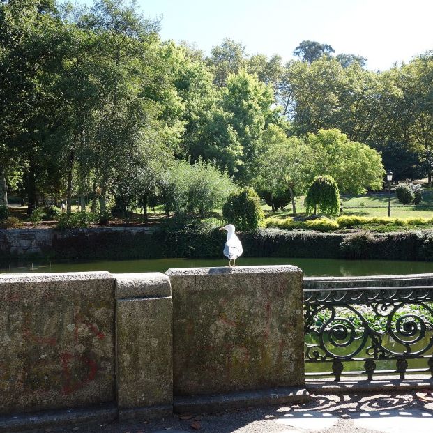 bigstockparque Castrelos