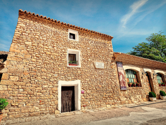 Casa natal de goya Casa natal de goya