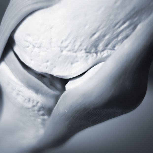 Menisco. Foto: Bigstock Menisco. Foto: Bigstock