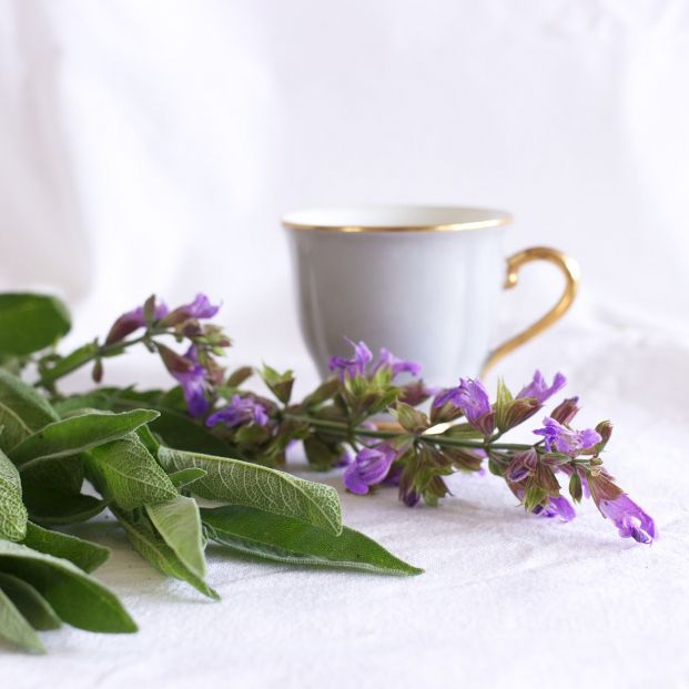 Purifica tu casa con salvia Foto: bigstock Purifica tu casa con salvia Foto: bigstock