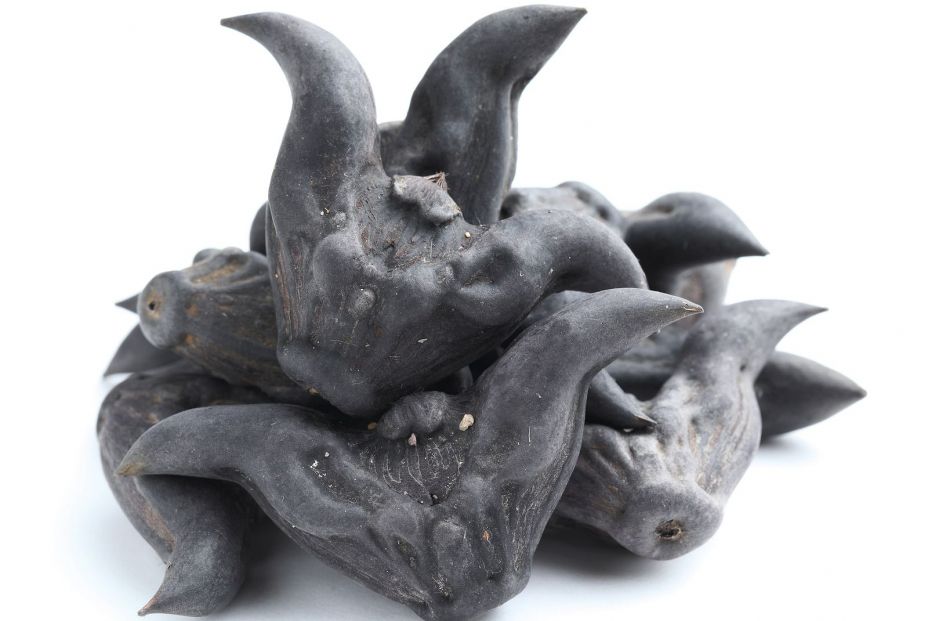 ¿Conoces las castañas de agua? bigstock ¿Conoces las castañas de agua? bigstock