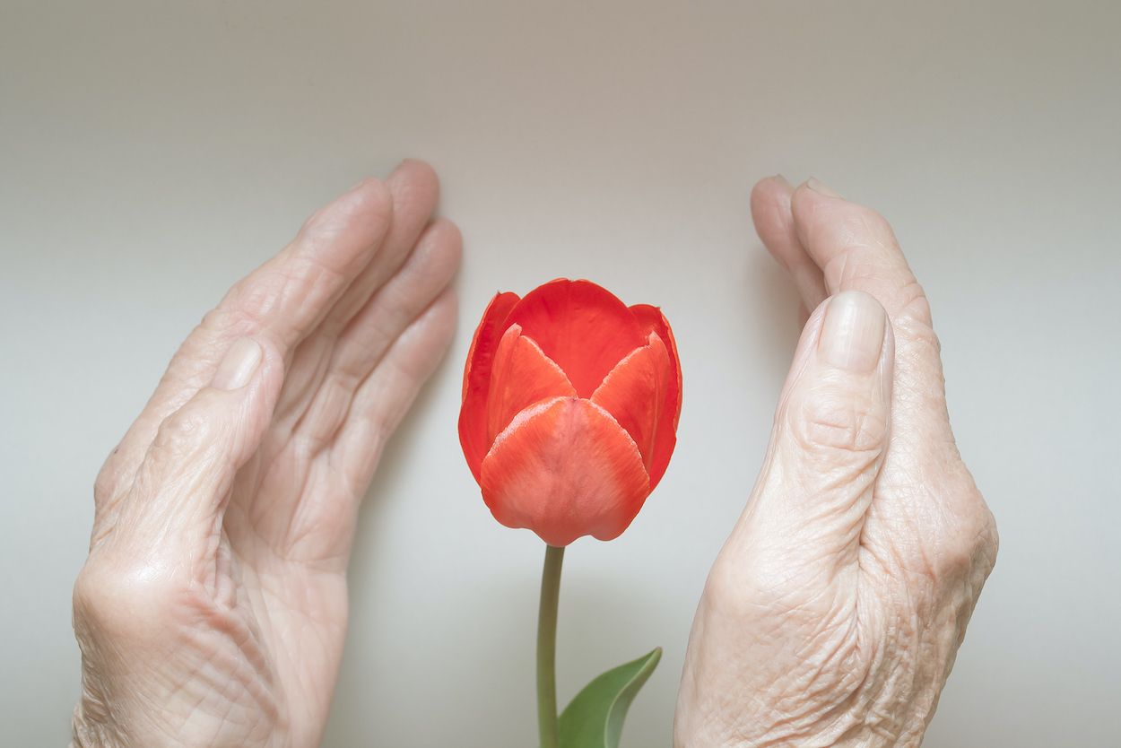 Los estudios lo dicen: las personas amables están más sanas 