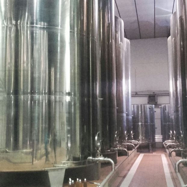 almazara Cooperativa San Isidro Labrador (Mariola Báez) almazara Cooperativa San Isidro Labrador (Mariola Báez)